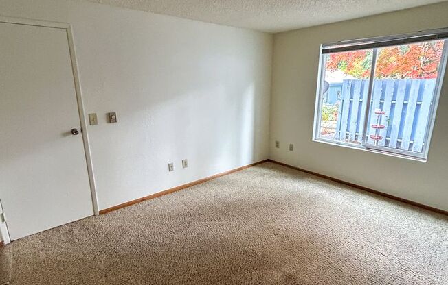 1 bed, 1 bath, $1,545