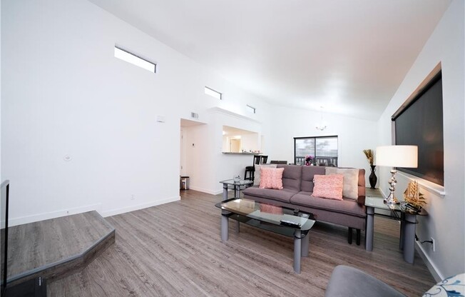 302 EASY CIRCULO