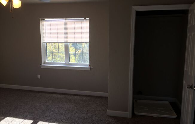 2 beds, 1 bath, $1,250