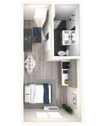 Studio, 1 bath, 262 sqft, $1,008