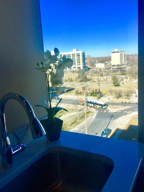 1 bed, 1 bath, 609 sqft, $1,205, Unit 502