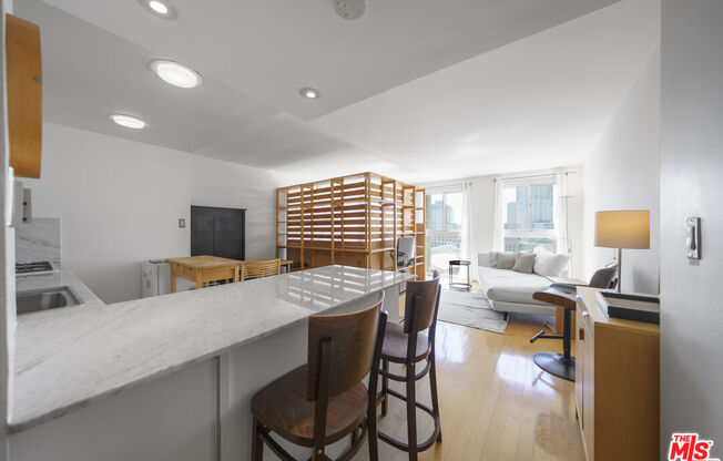 Studio, 1 bath, 481 sqft, $2,500, Unit 2104