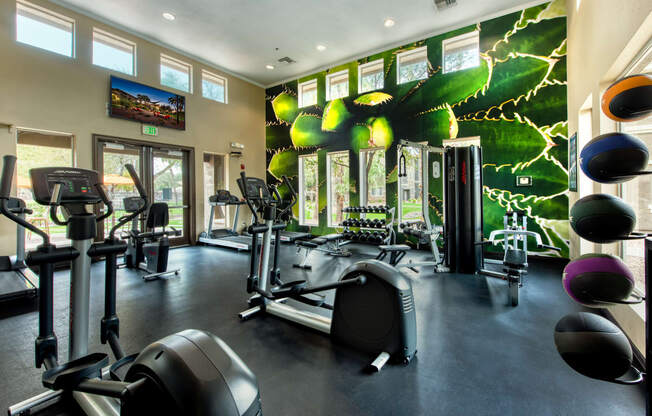 Modern Fitness Center at Stonebridge Ranch Apartments, Chandler, 85225