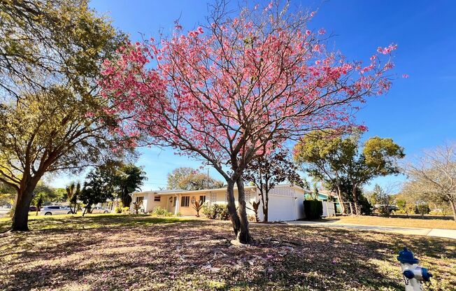 3BD/2BA Charming Blend of Modern Elegance and Florida Living at 1516 Dove Dr, Orlando! WASHER & DRYER INCLUDED!