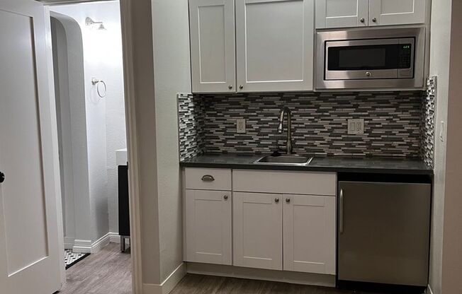 Studio, 1 bath, 220 sqft, $1,395, Unit 102