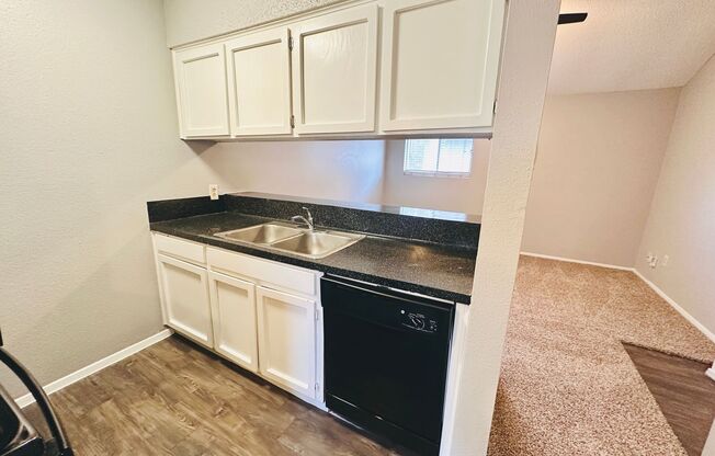 Studio, 1 bath, 500 sqft, $795, Unit 204