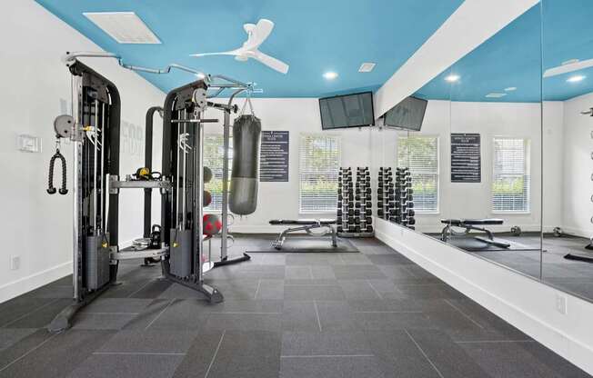 A gym with a blue ceiling and a variety of equipment.
