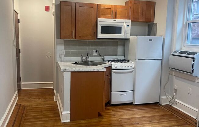 Studio, 1 bath, 330 sqft, $875, Unit 204