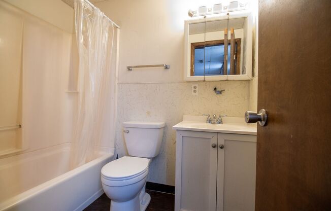 Studio, 1 bath, $800, Unit 310