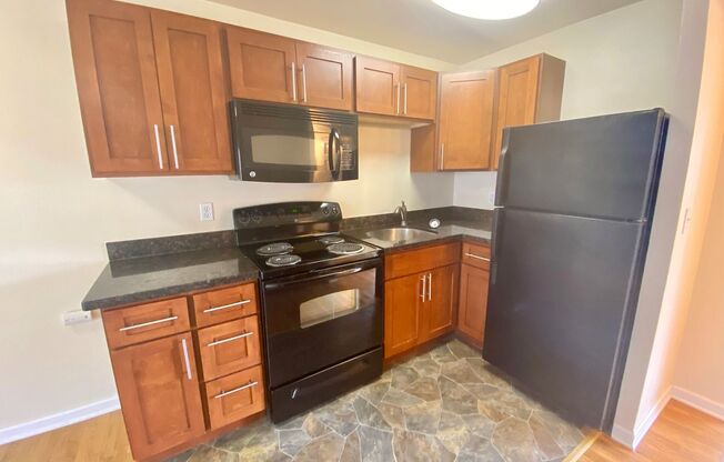 1 bed, 1 bath, 455 sqft, $1,695, Unit 102