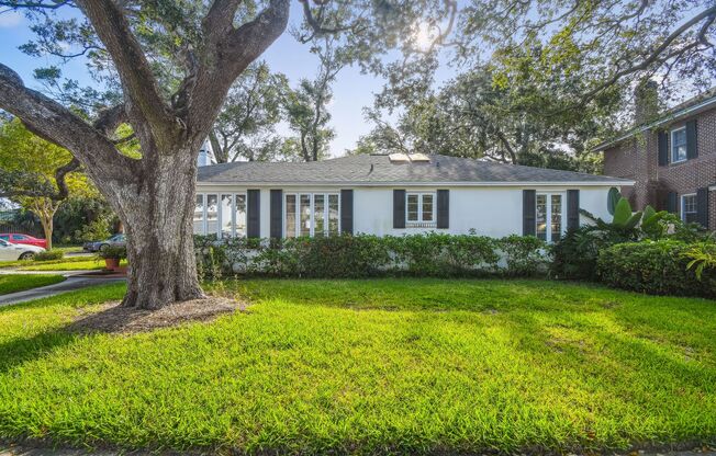 Beautiful Home on Davis Island