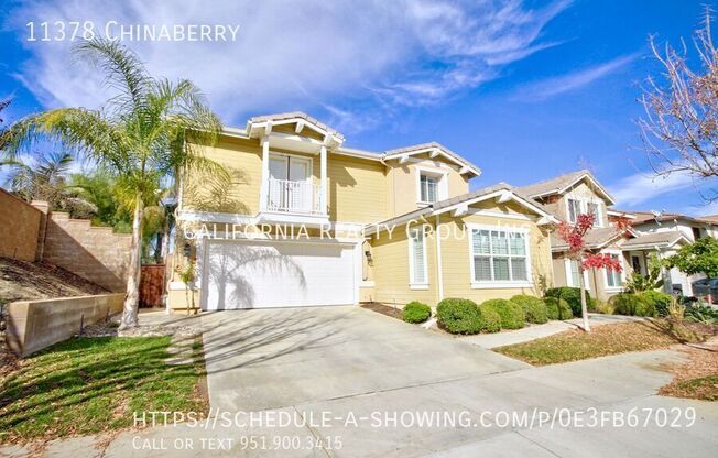 11378 CHINABERRY