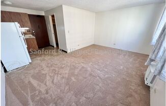 Studio, 1 bath, 369 sqft, $1,400, Unit 1
