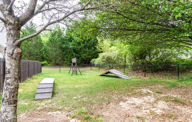 dog park with agility equipment