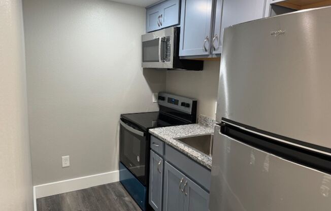 Studio, 1 bath, 192 sqft, $1,250, Unit UNIT 7