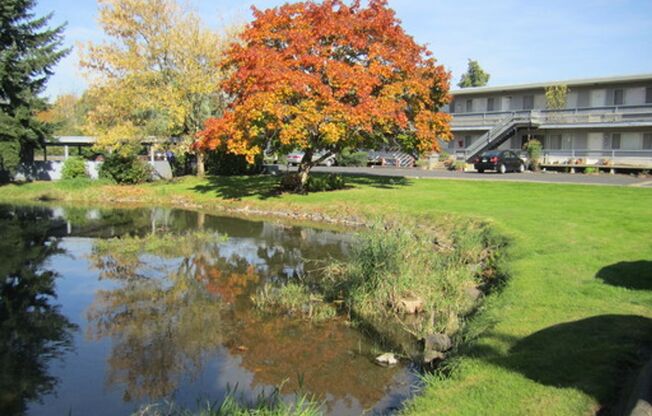 Crystal Springs Apartments
