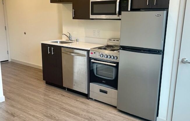 Studio, 1 bath, 257 sqft, $1,245, Unit 203