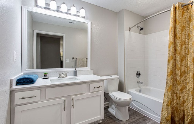 a bathroom with a mirror and a toilet and a tub