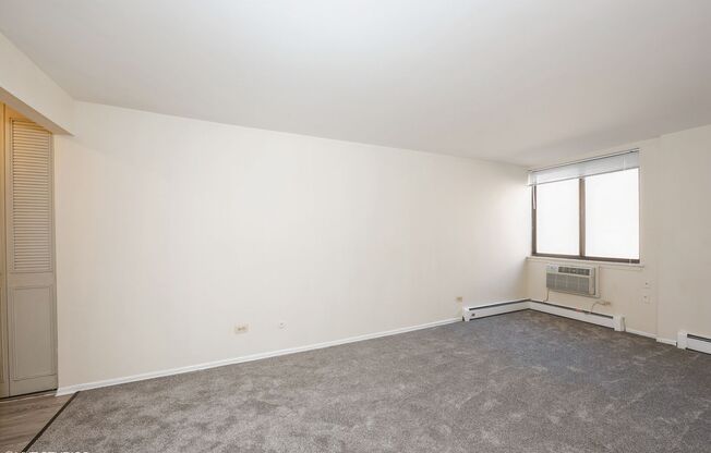 Studio, 1 bath, 400 sqft, $1,395, Unit 223
