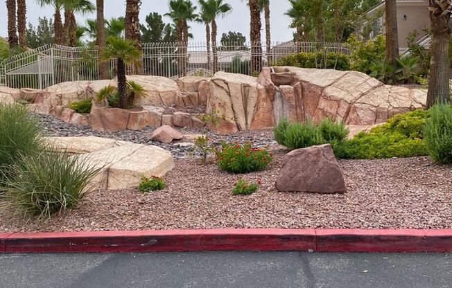 10525 #205 AUTUM PINE