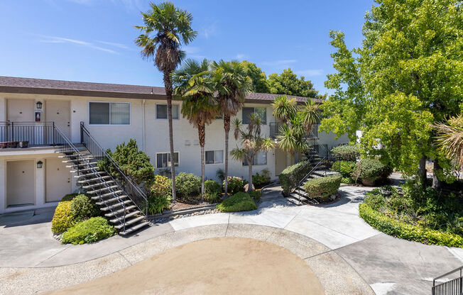 a courtyard with stairs and palm trees in front of a building