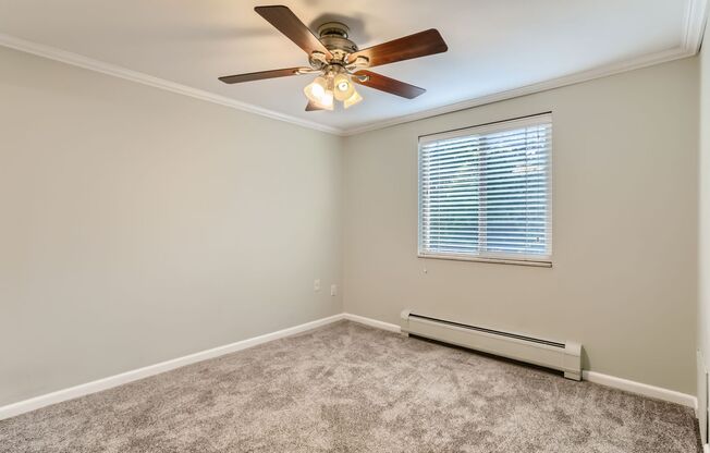 1 bed, 1 bath, $1,299