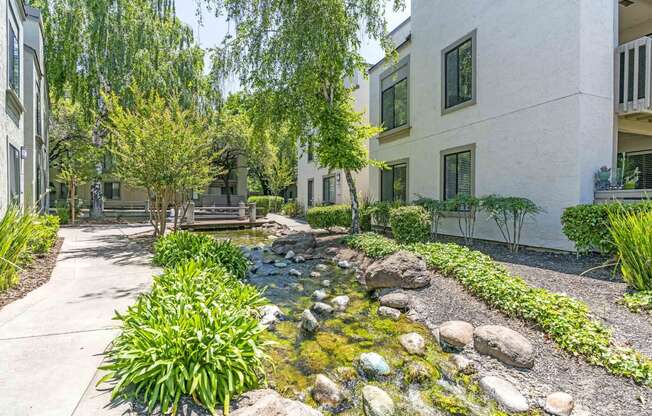 Two Bedroom Apartments in Walnut Creek, CA - Park Lake at Walnut Creek - Courtyard with Beautiful Landscaping