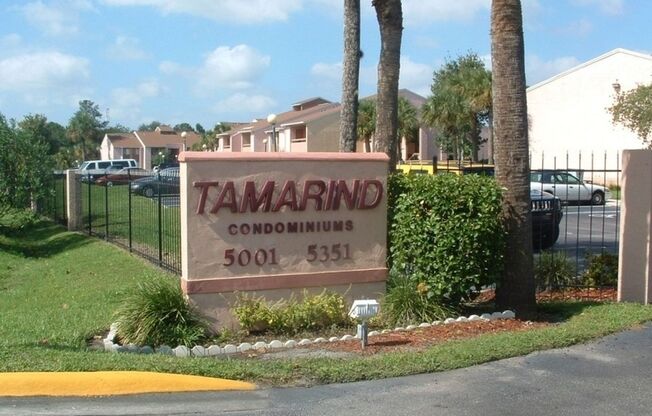 Great Apartment for rent!