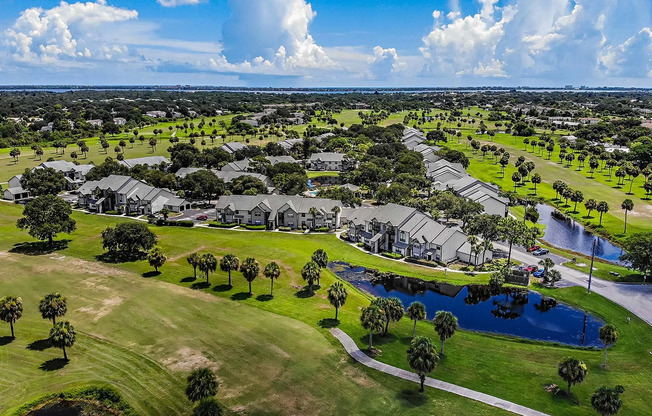 Community on Sunny Day