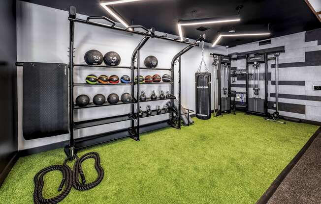 the home gym has a green carpet and shelving with helmets and other equipmentat The Overlook, Winter Garden, Florida