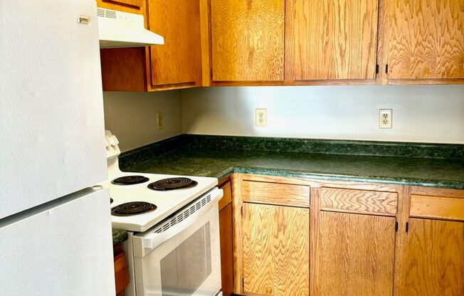 3 beds, 1 bath, 900 sqft, $850, Unit 526-204 Locher Alley