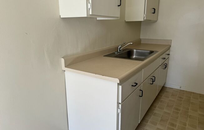 Studio, 1 bath, 480 sqft, $1,395, Unit 15