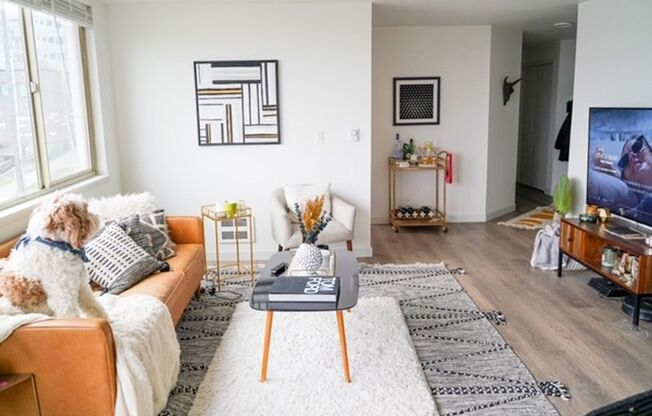 1 bed, 1 bath, 526 sqft, $2,100, Unit 409