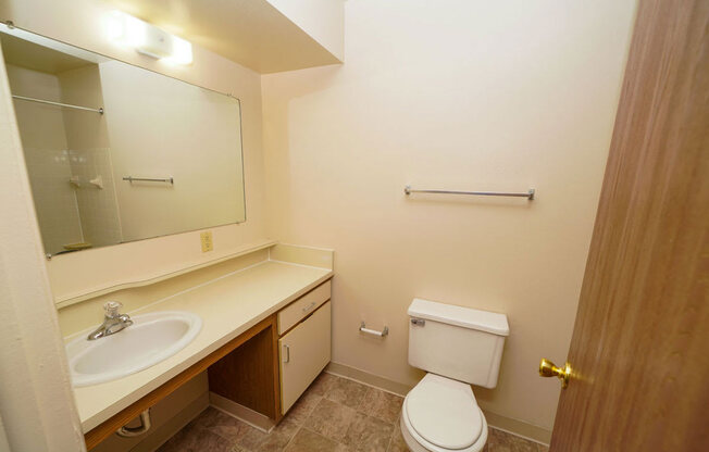 Bathroom with Ample Counter Space at Canal Club Apartments in Lansing, MI