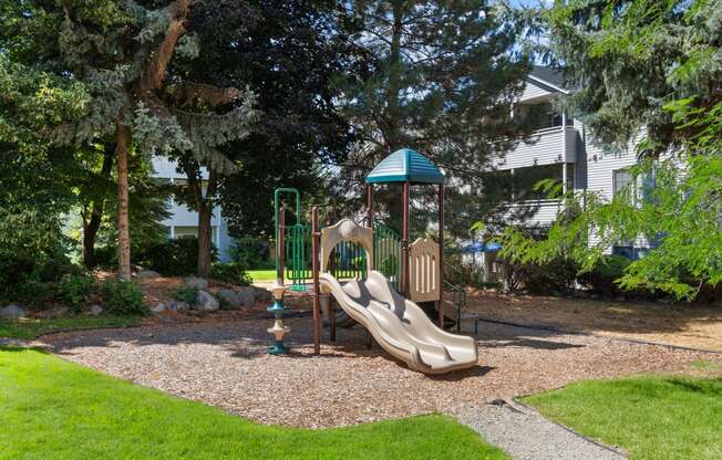 a playground with slides and a fire hydrant in a yard