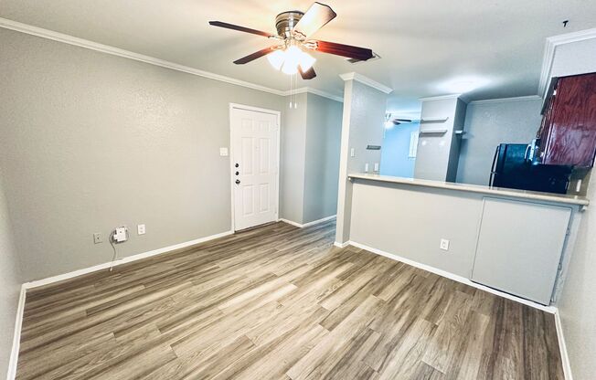 Studio, 1 bath, 500 sqft, $795, Unit 114