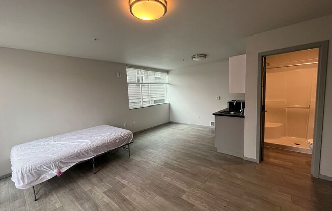 Studio, 1 bath, 181 sqft, $1,025, Unit 301