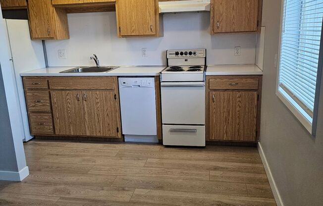 1 bed, 1 bath, 564 sqft, $1,245, Unit 2430-03