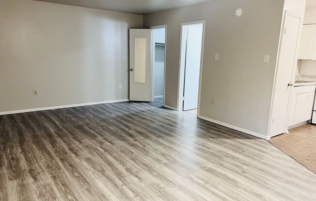 Studio, 1 bath, 494 sqft, $690, Unit 15