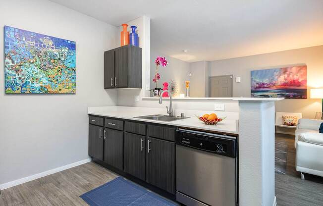 a kitchen with a sink and a dishwasher in a living room