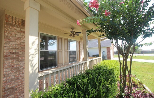 Open Floor Plan, Single Story