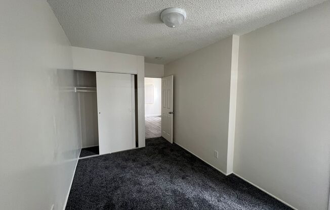 Lakewood 11823