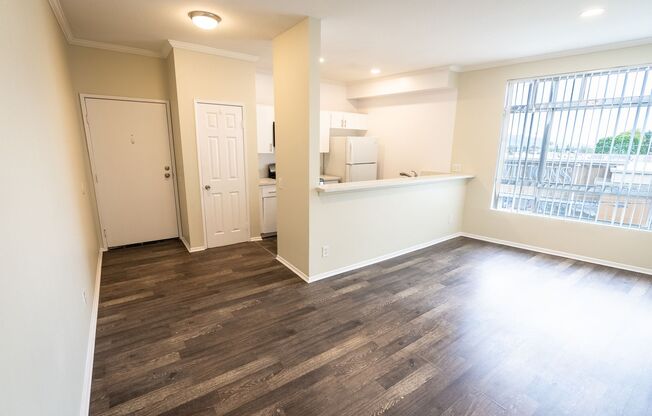 1 bed, 1 bath, 550 sqft, $1,998, Unit 313