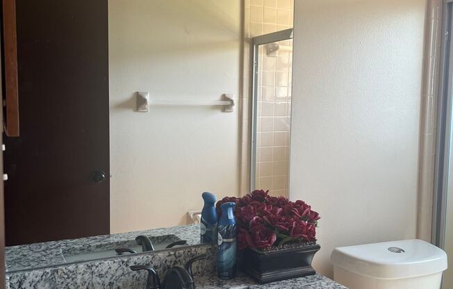 Kissimmee Rental