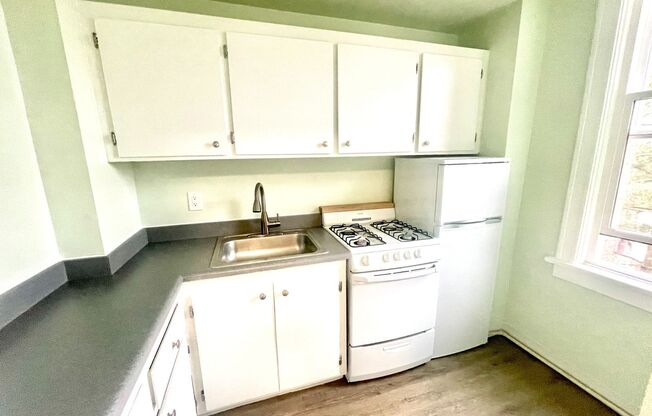 Studio, 1 bath, 300 sqft, $1,210, Unit 308