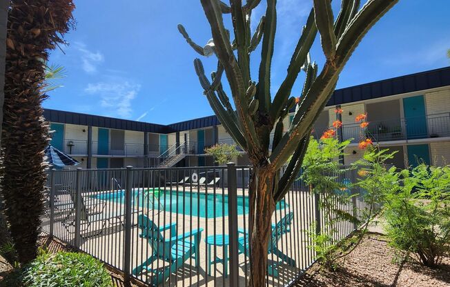 2 beds, 1 bath, 775 sqft, $1,299, Unit 1A