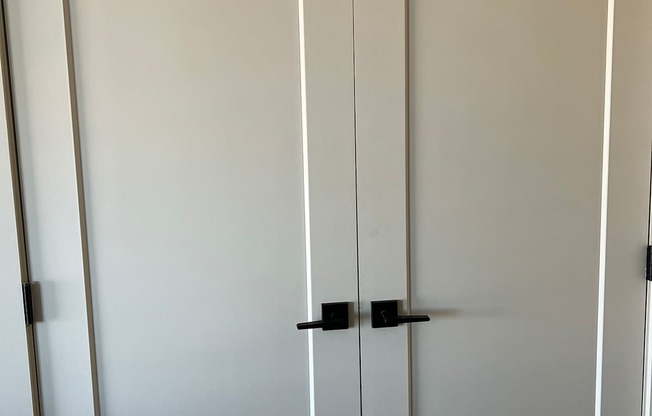 a pair of white closet doors with black handles