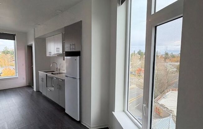 Studio, 1 bath, 261 sqft, $1,175, Unit 313