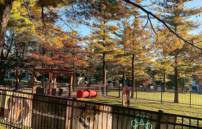 Exterior picture, dog park