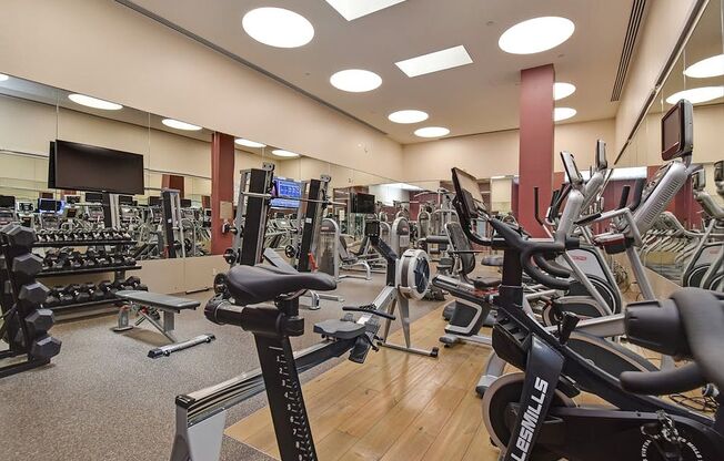 1 bed, 1 bath, 855 sqft, $5,500, Unit 5P